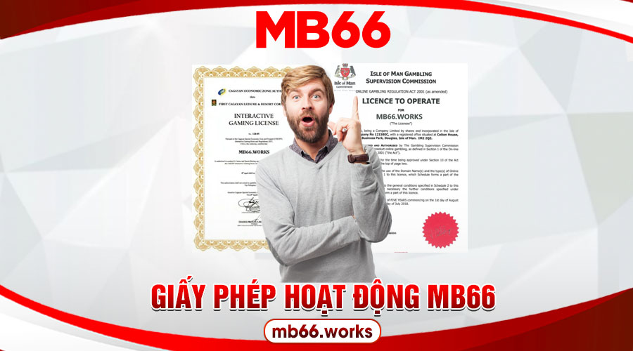 Các Loại Giấy Phép Hoạt Động MB66 Đang Sở Hữu 1 Giải thích khái niệm giấy phép hoạt động MB66