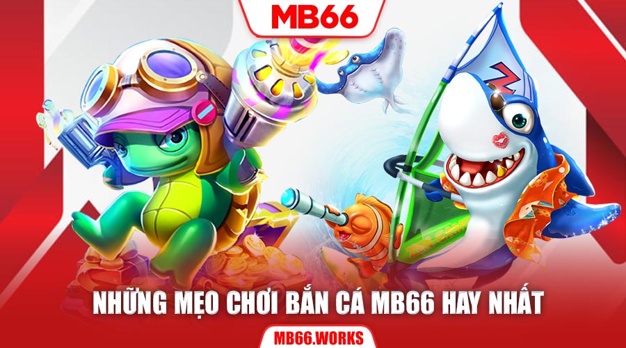 Chơi bắn cá nên áp dụng mẹo chơi theo cách linh hoạt tùy tình hình cụ thể 