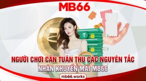Tuân thủ điều kiện, quy tắc giúp nhận khuyến mãi dễ dàng 